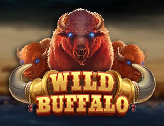 Wild Buffalo