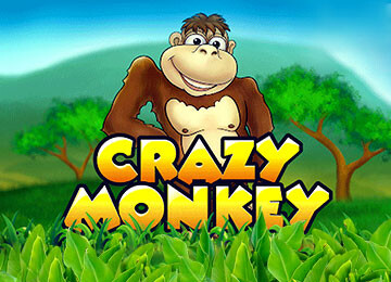 Crazy Monkeys